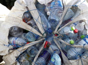 INQUINAMENTO DA PLASTICA: PIAGA CAPITALE